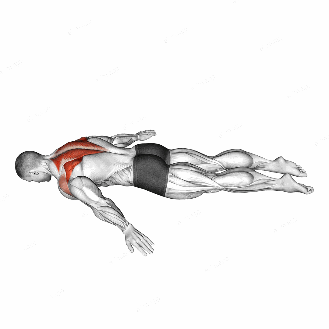 Lying Prone A exercise targeting Back