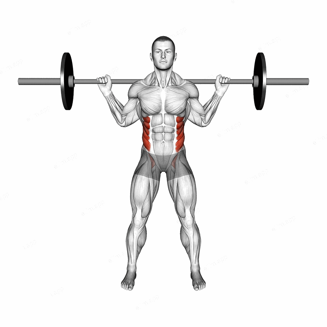 Barbell Standing Twist exercise targeting Waist and Obliques