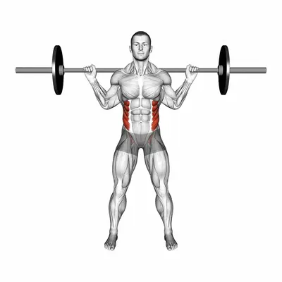 Barbell Standing Twist exercise targeting Waist and Obliques