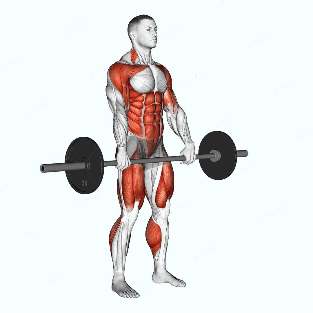 Barbell Hang Clean exercise targeting Weightlifting