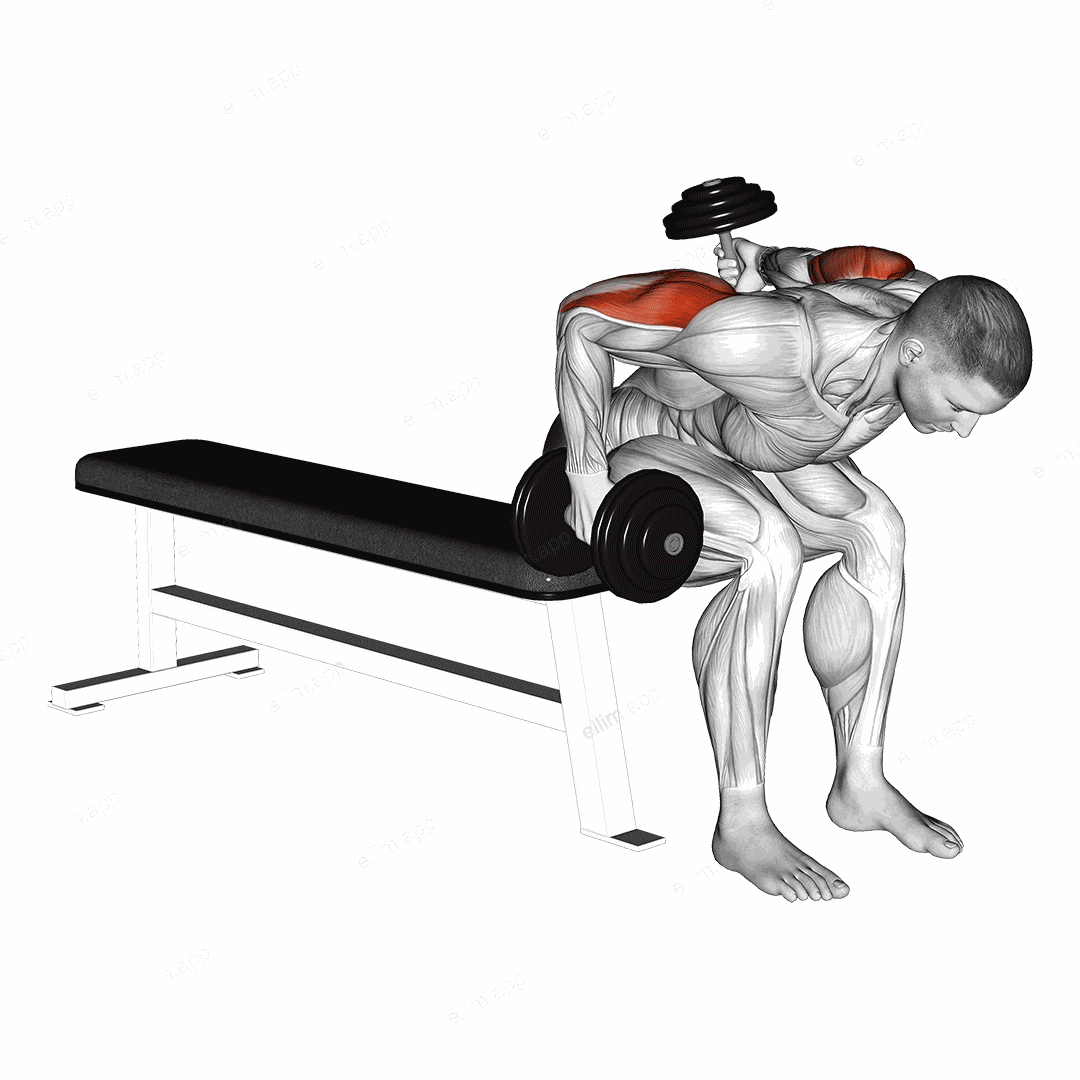 Dumbbell Seated Bent Over Alternate Kickback exercise targeting Upper Arms