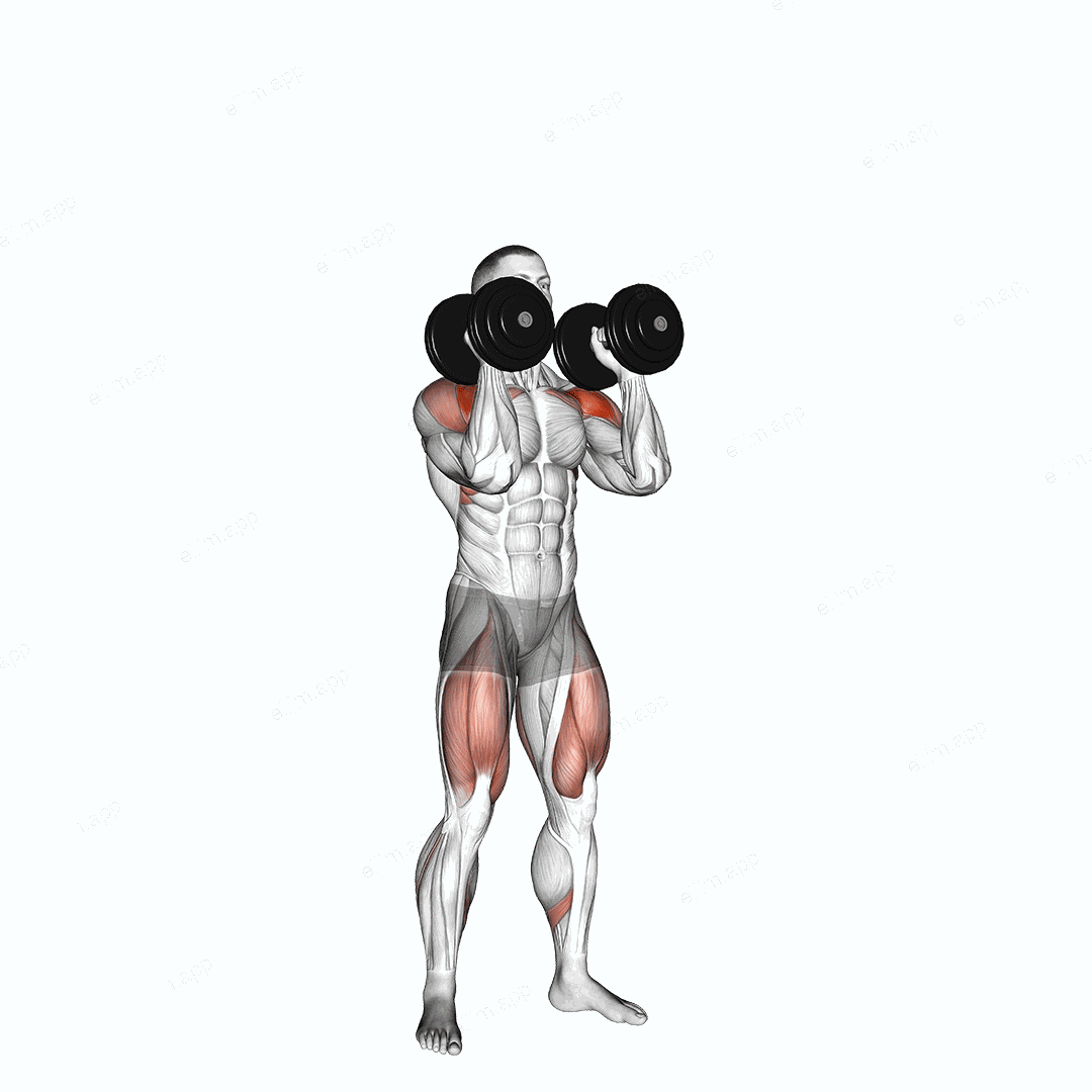 Dumbbell Push Press exercise targeting Shoulders and Adductor Magnus