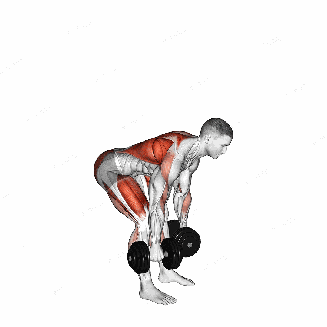 Dumbbell Deadlift Bent-over Row exercise targeting Back and Hips