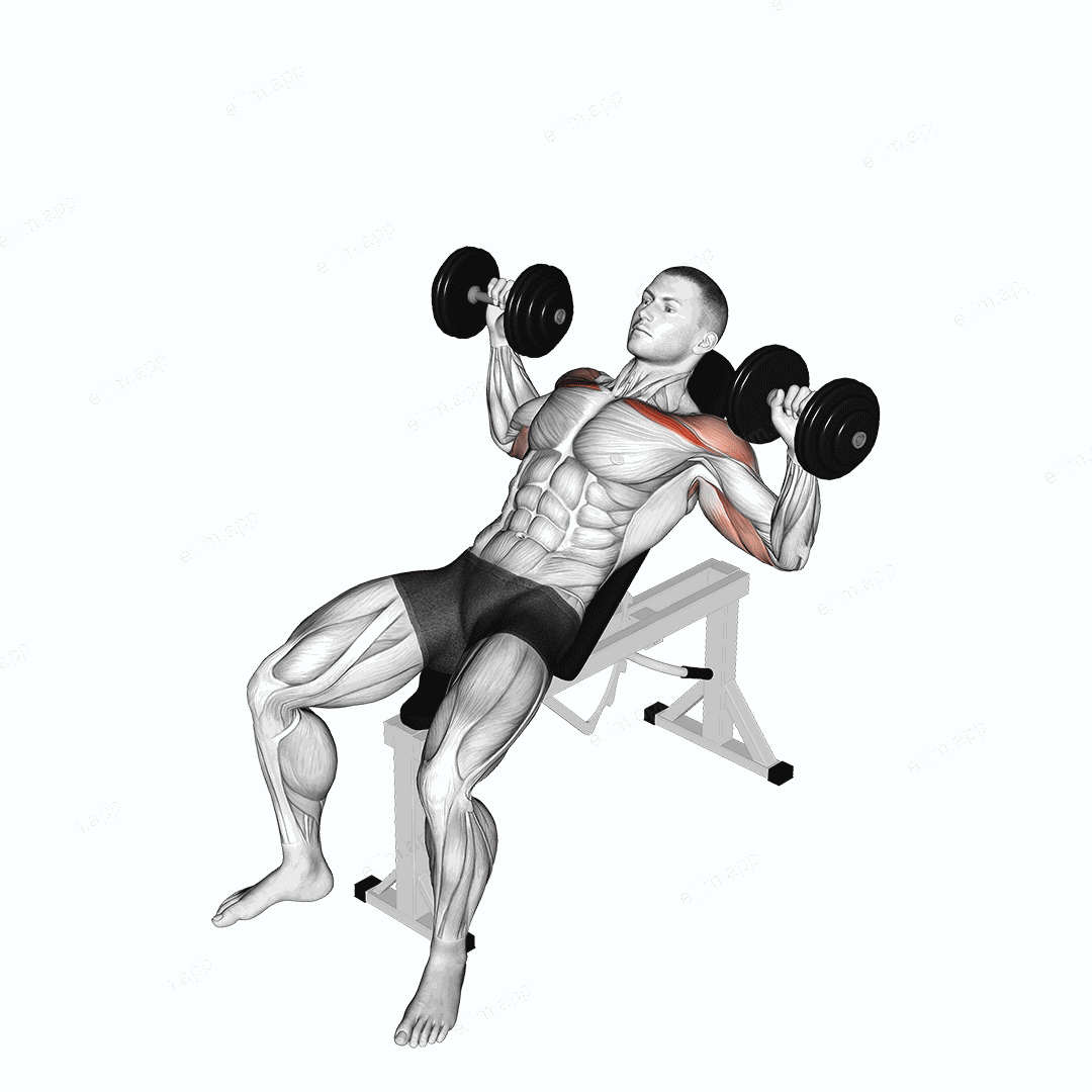 Dumbbell Incline Alternate Press exercise targeting Chest and Pectoralis Major Clavicular Head
