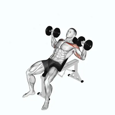 Dumbbell Incline Alternate Press exercise targeting Chest and Pectoralis Major Clavicular Head