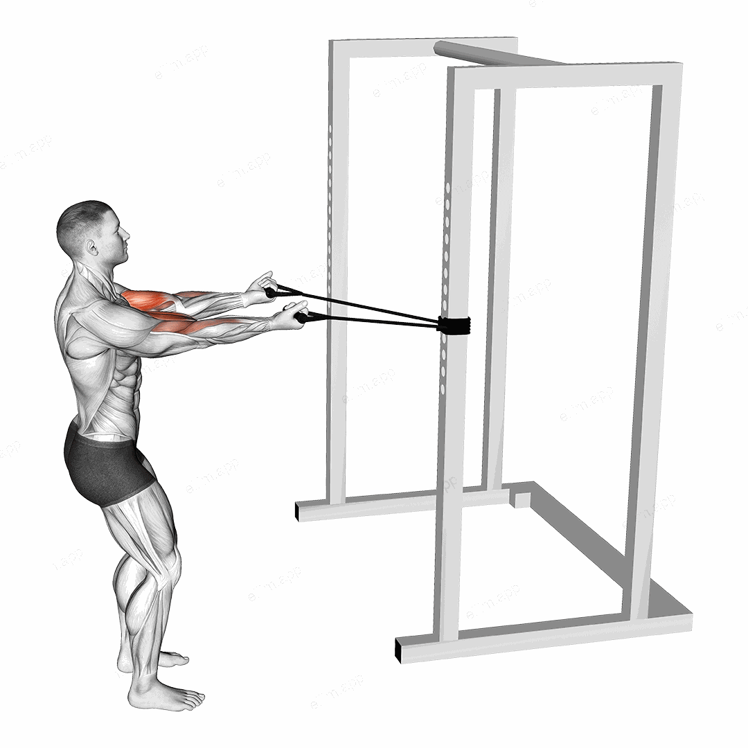 Band Horizontal Biceps Curl exercise targeting Upper Arms and Biceps Brachii