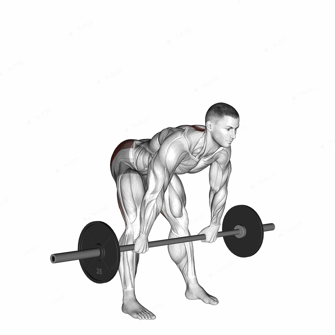 Barbell Wide Stance Stiff Leg Deadlift exercise targeting Hips