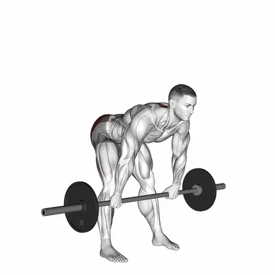 Barbell Wide Stance Stiff Leg Deadlift exercise targeting Hips