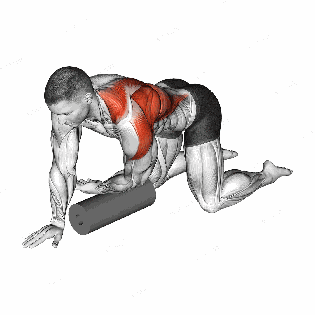 Roll Kneeling Upper Back Rotation exercise targeting Back