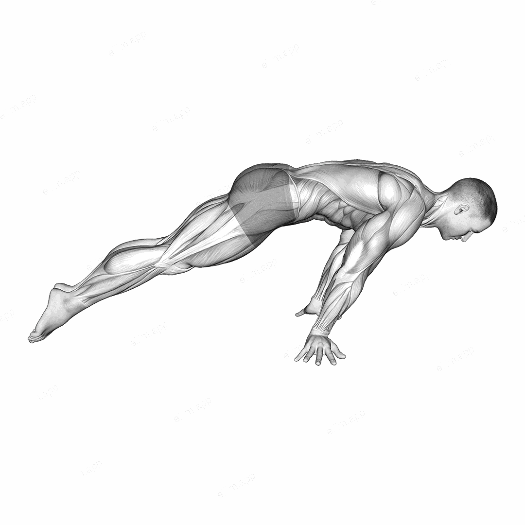 Lean Planche exercise targeting Waist