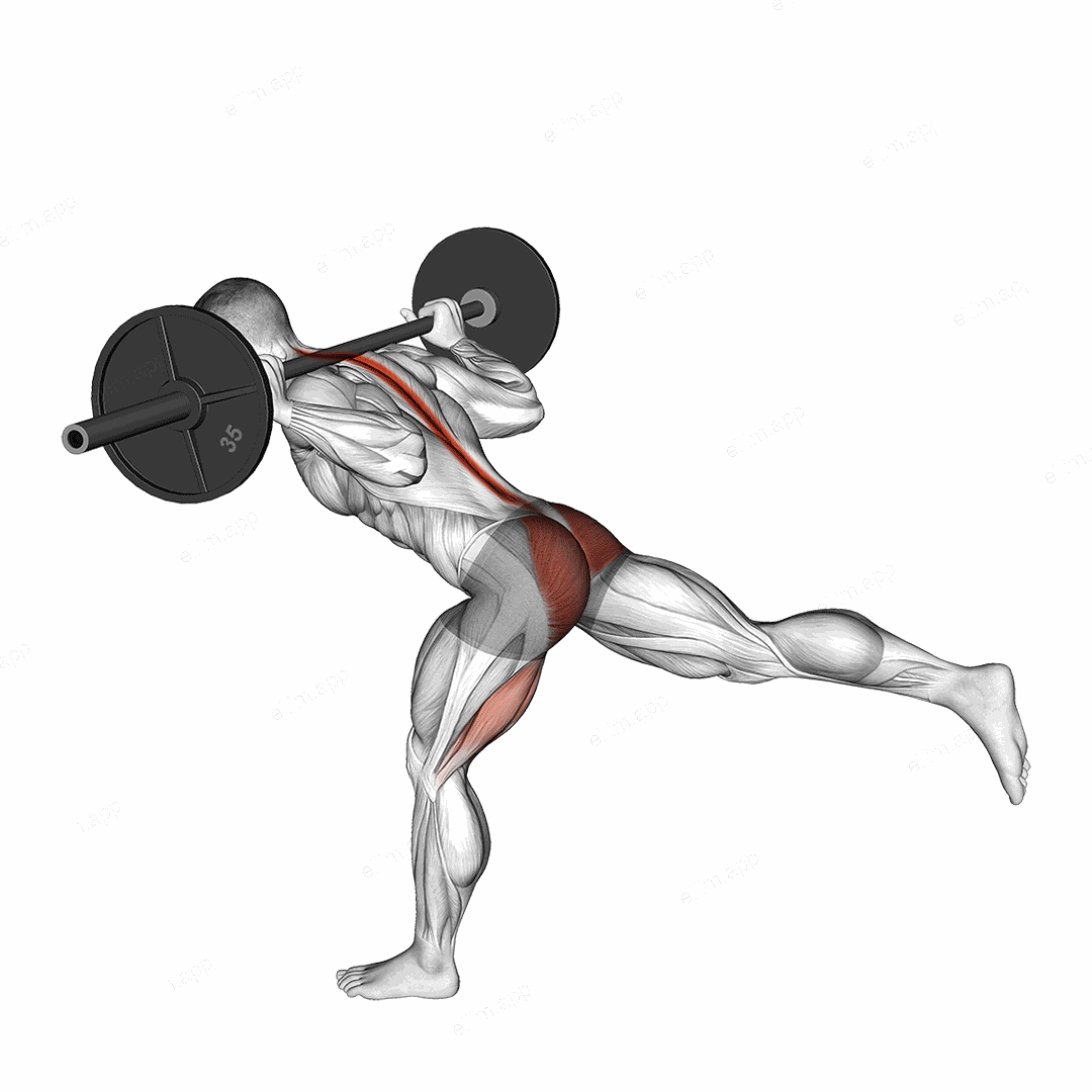 Barbell Single Leg Good Morning exercise targeting Thighs