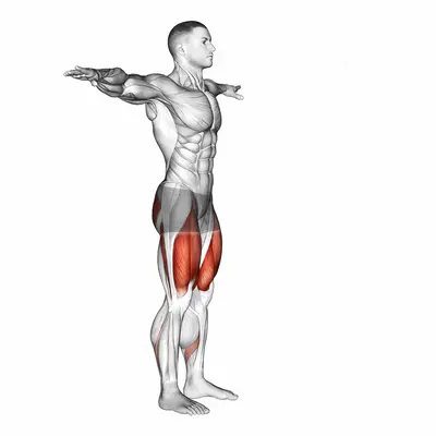Potty Squat exercise targeting Waist and Rectus Abdominis