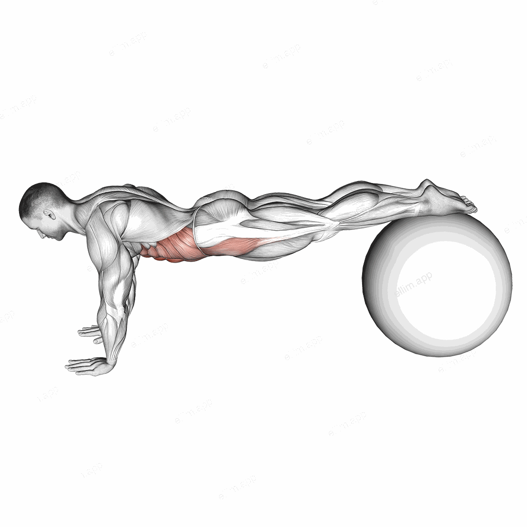 Pull In (on stability ball) exercise targeting Waist