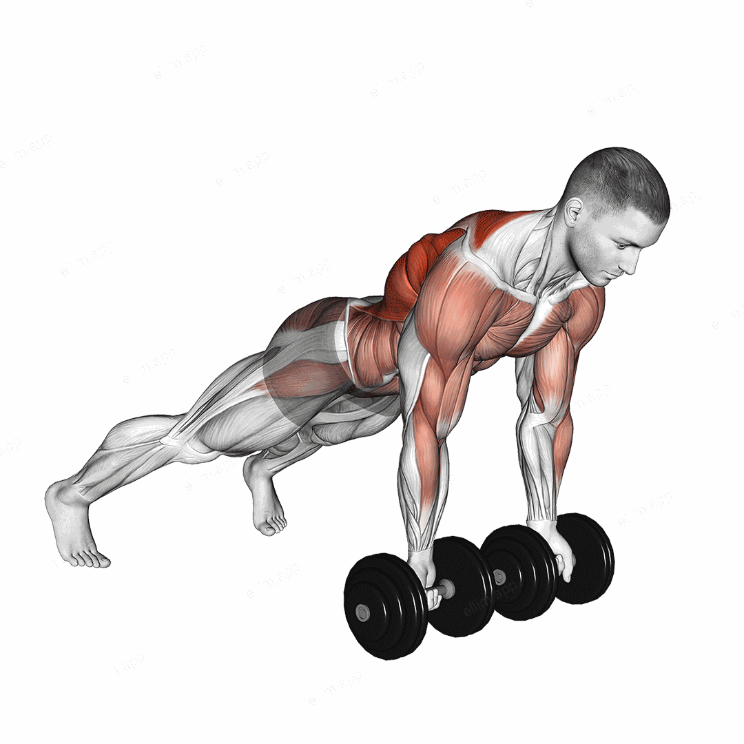 Dumbbell Underhand Renegade Row exercise targeting Waist