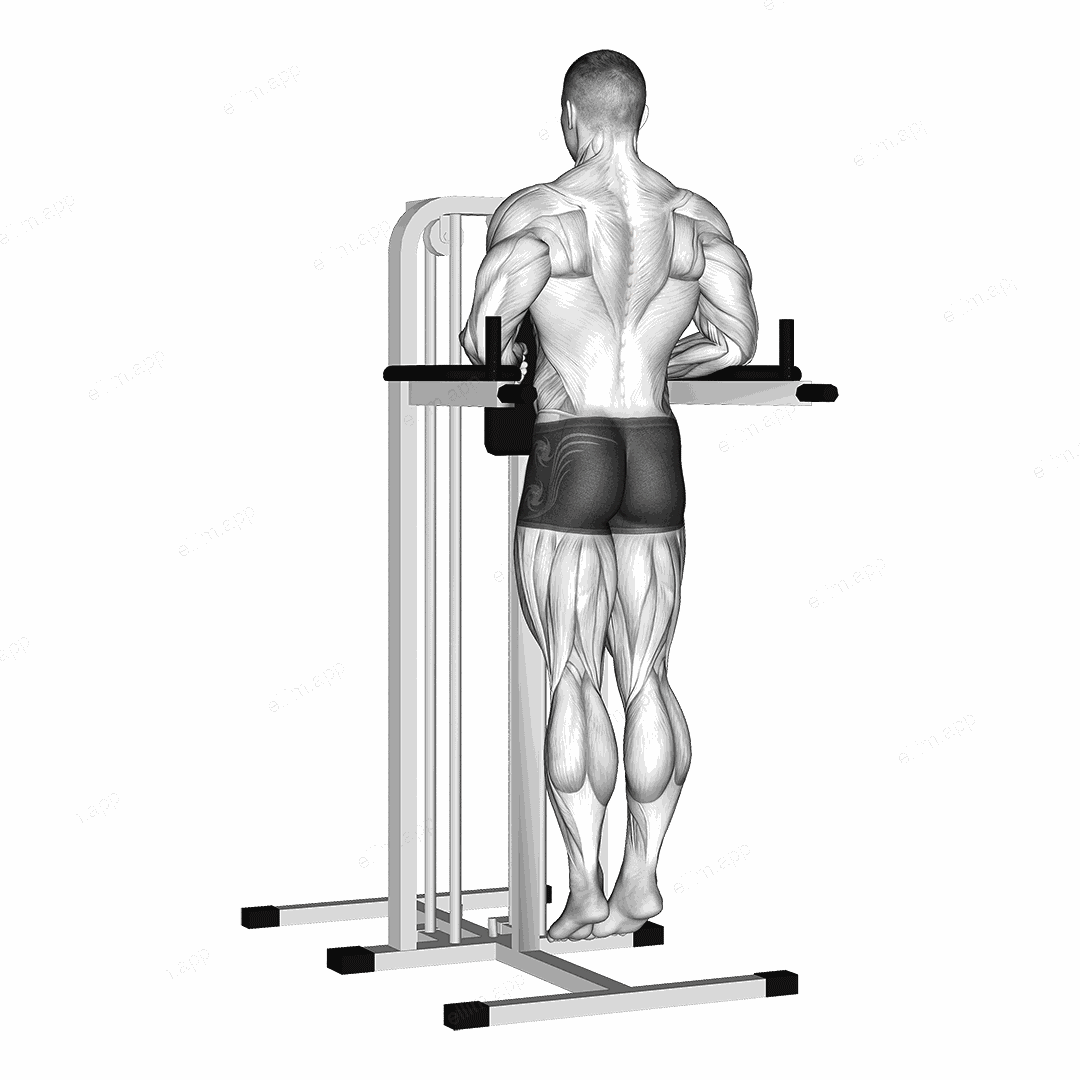 Depression In Parallel Bars Stretch exercise targeting Back