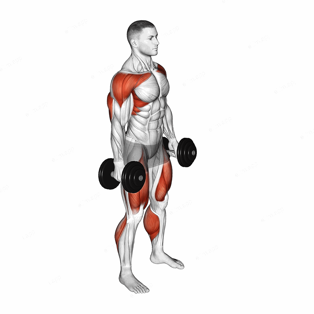 Dumbbell Hang Clean exercise targeting Weightlifting