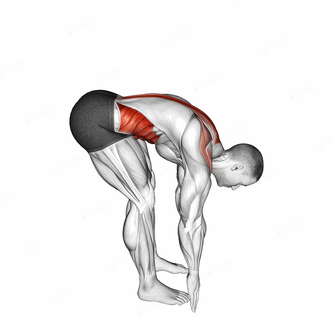 Bent Over Back Extension Scapular Adduction exercise targeting Back