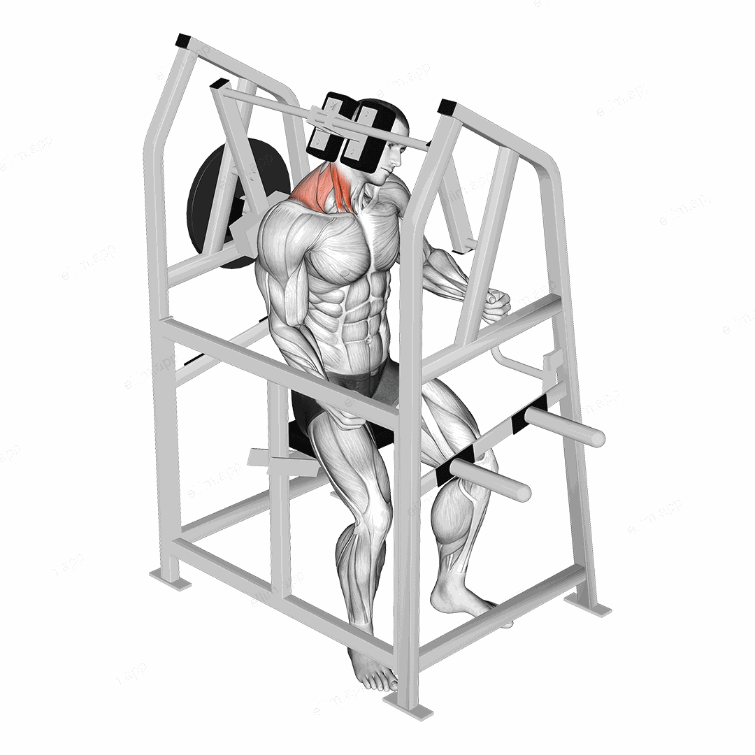 Lever Neck Right Side Flexion (plate loaded) exercise targeting Neck