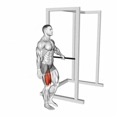 Bodyweight Single Leg Squat with Support exercise targeting Thighs