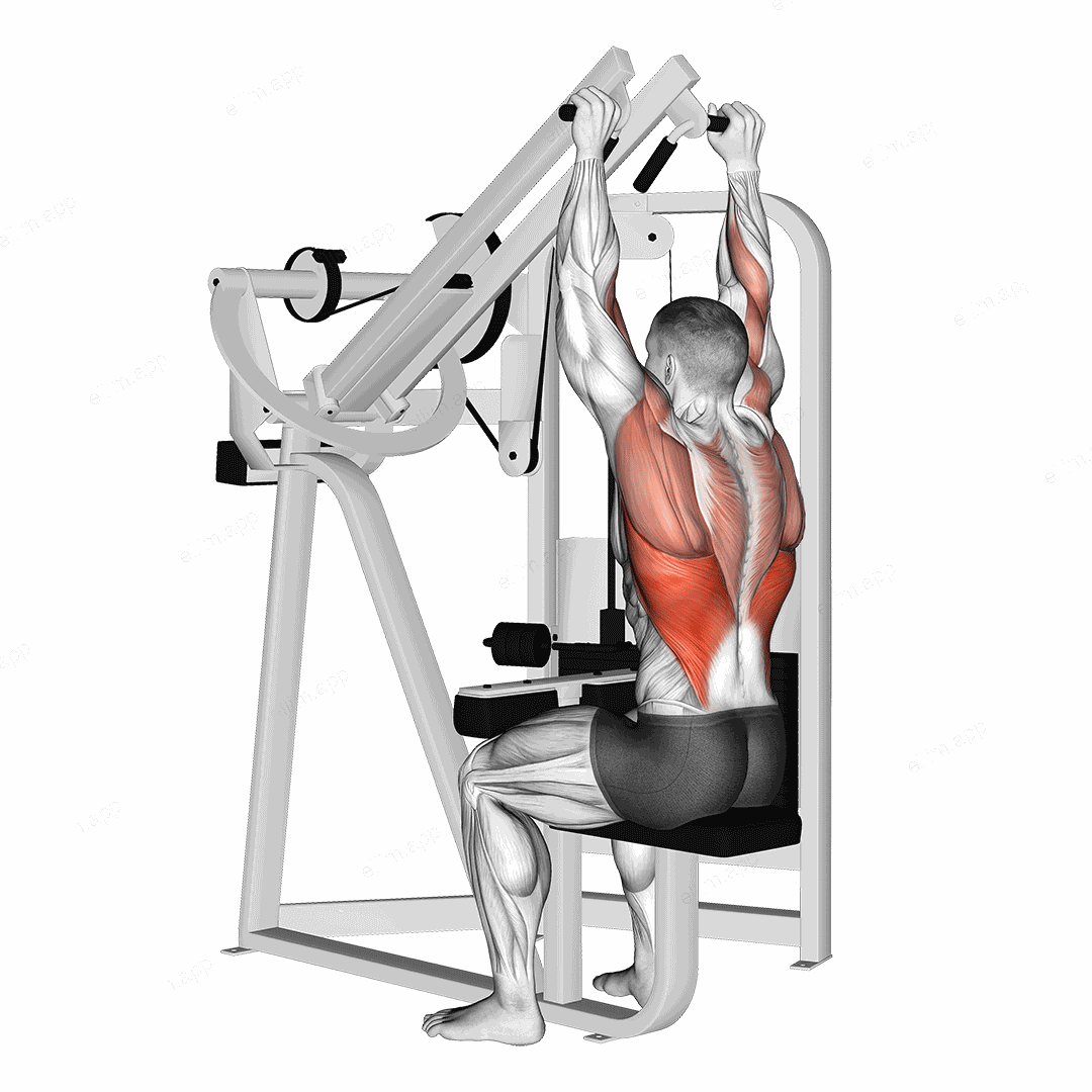 Lever Lateral Wide Pulldown exercise targeting Back and Latissimus Dorsi