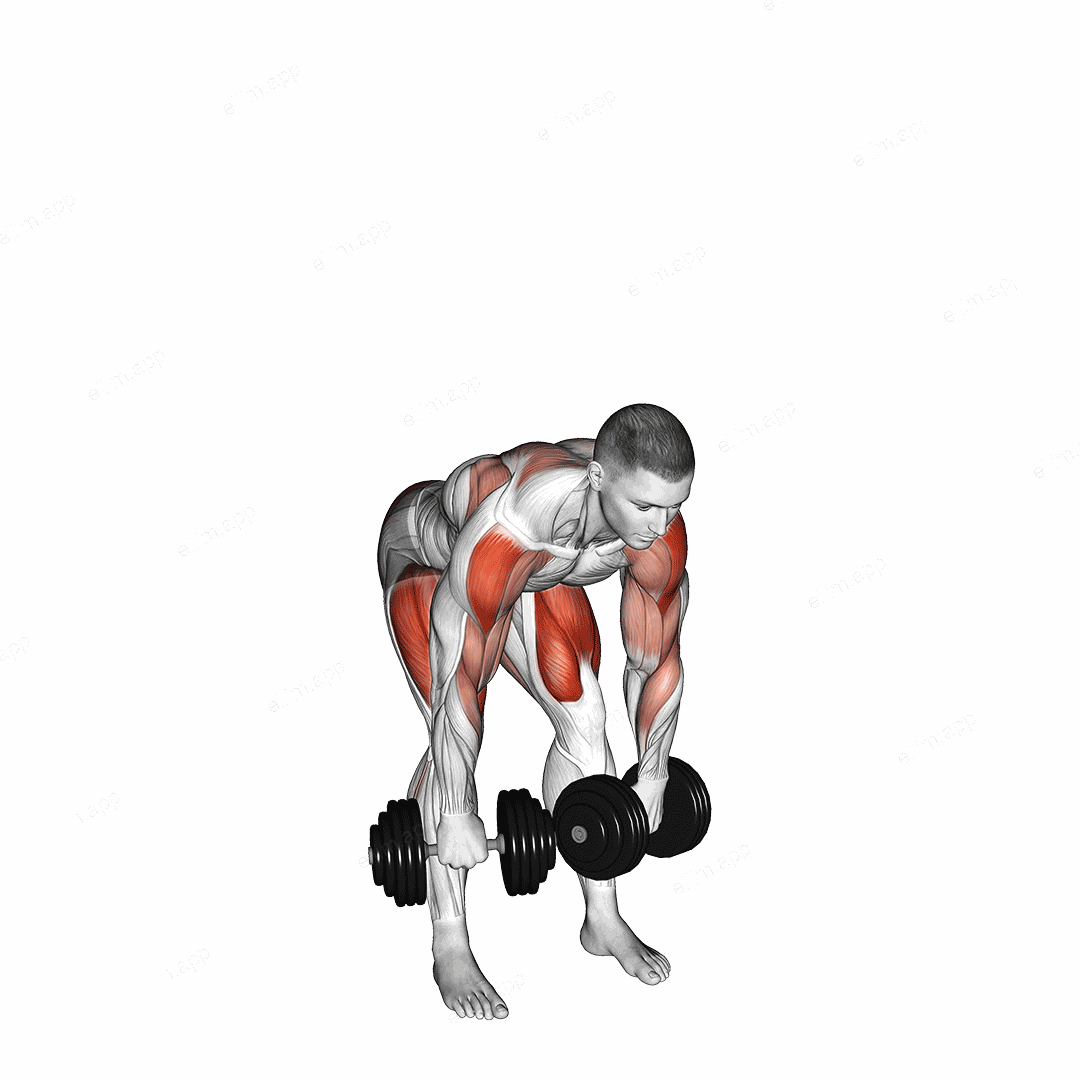 Dumbbell High Pull exercise targeting Weightlifting