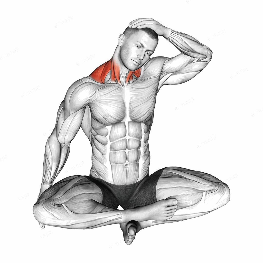 Seated Neck Side Stretch exercise targeting Stretching