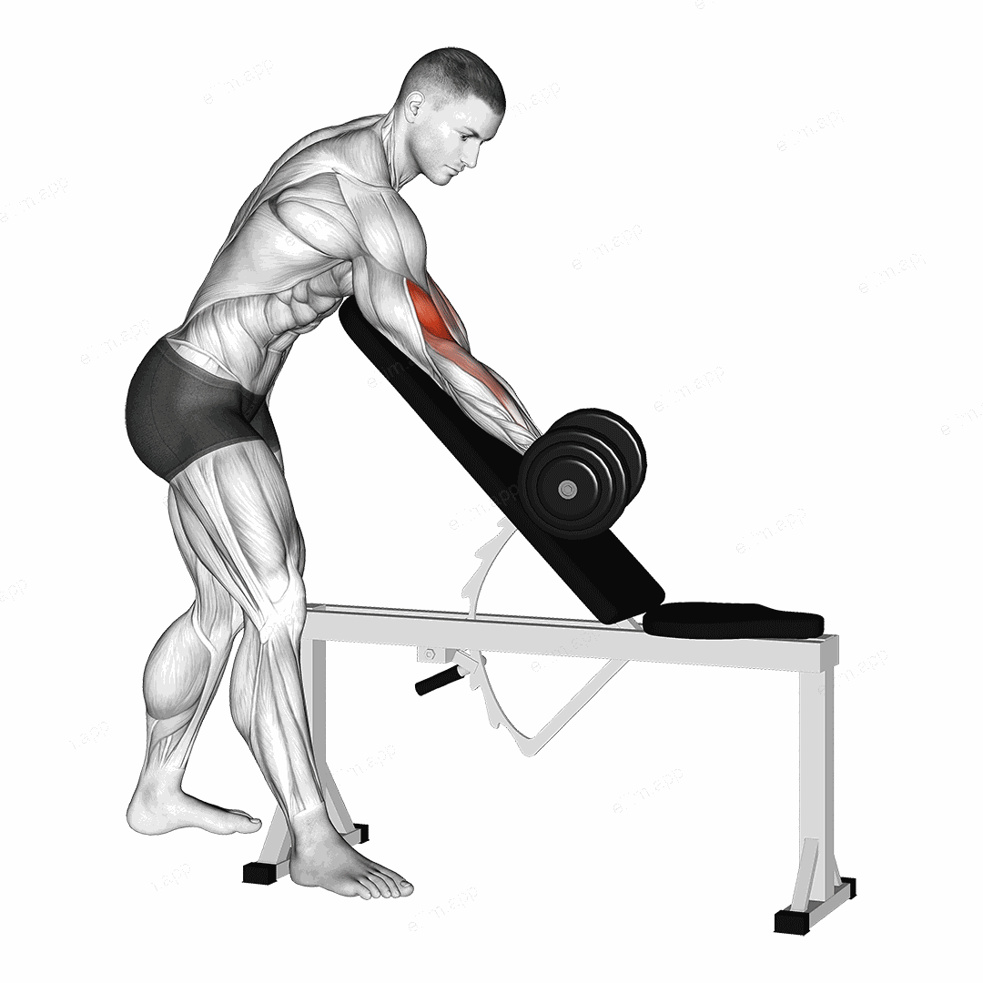 Dumbbell Standing One Arm Curl Over Incline Bench exercise targeting Upper Arms