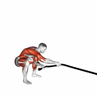 Battling Rope Pull exercise targeting Plyometrics