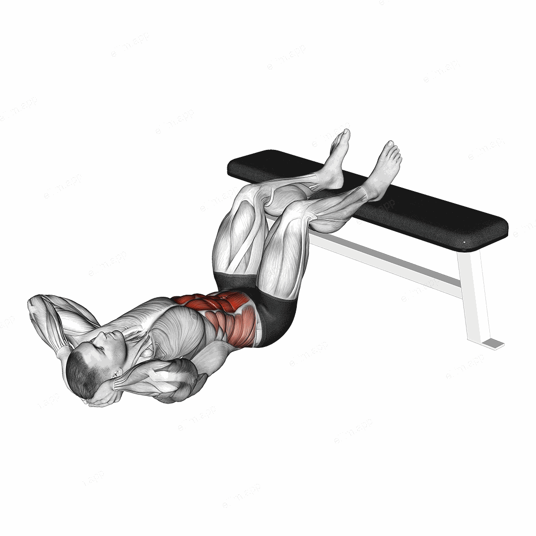 Crunch Hold exercise targeting Waist and Rectus Abdominis