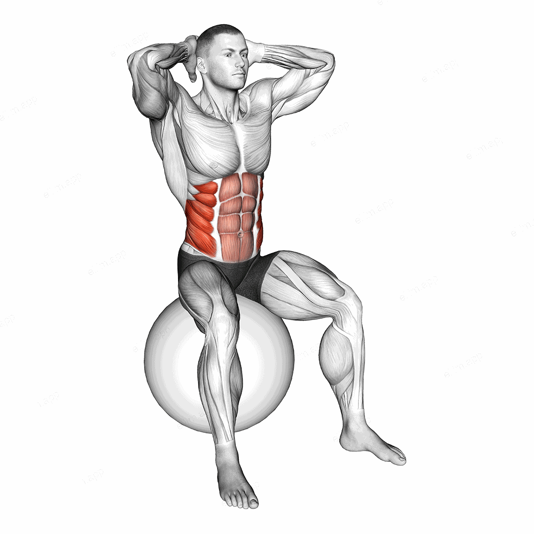 Spinal Stretch (on stability ball) exercise targeting Waist and Erector Spinae