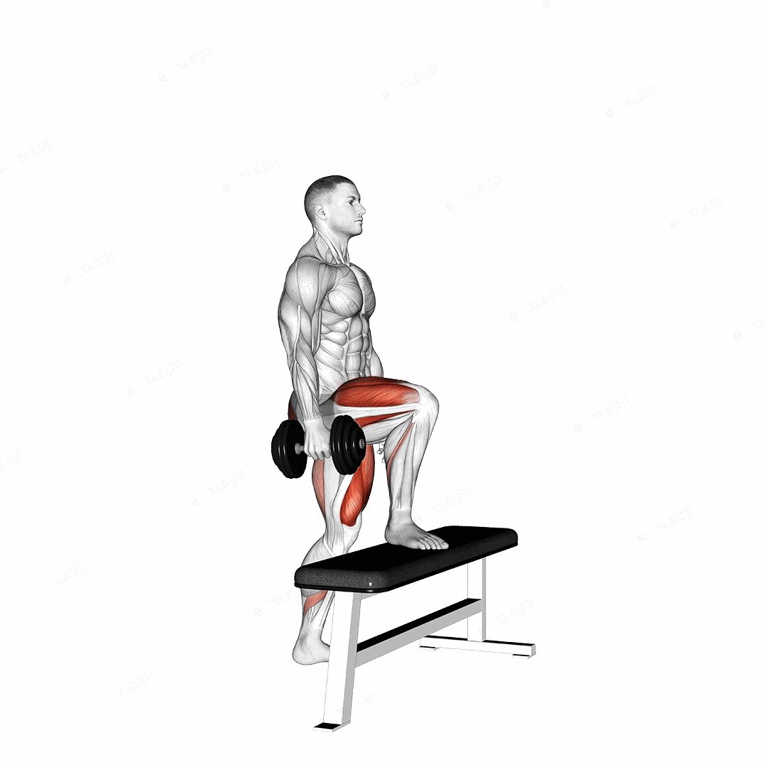 Dumbbell Single Leg Step-Up on Bench exercise targeting Thighs