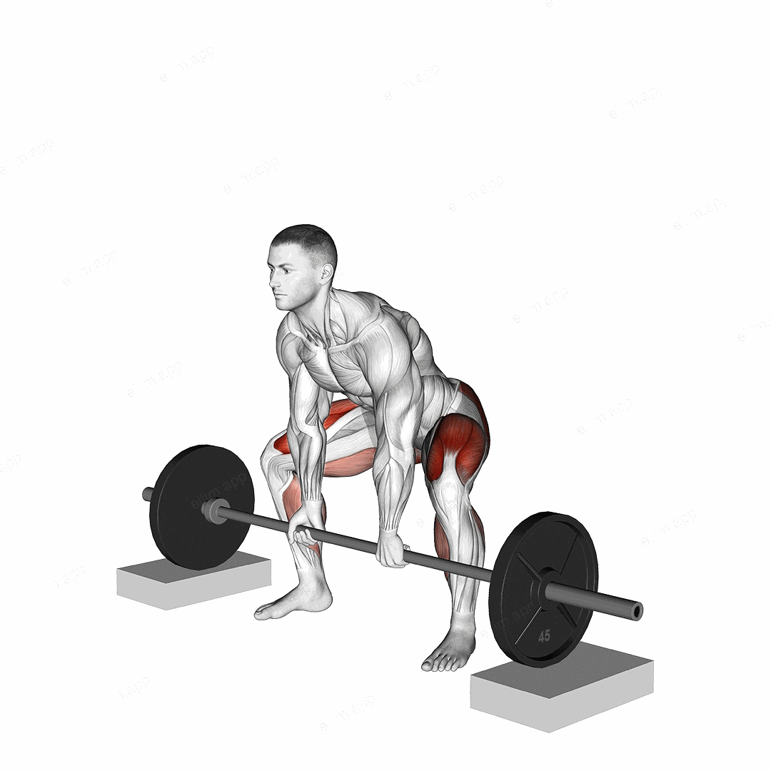 Barbell Sumo Deadlift from Blocks exercise targeting Hips