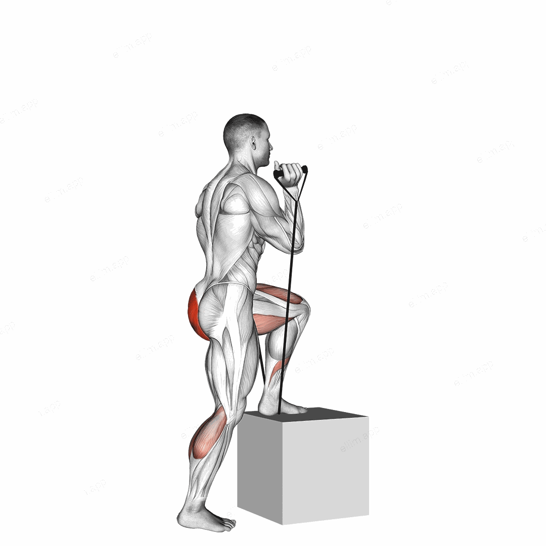Band step up exercise targeting Thighs