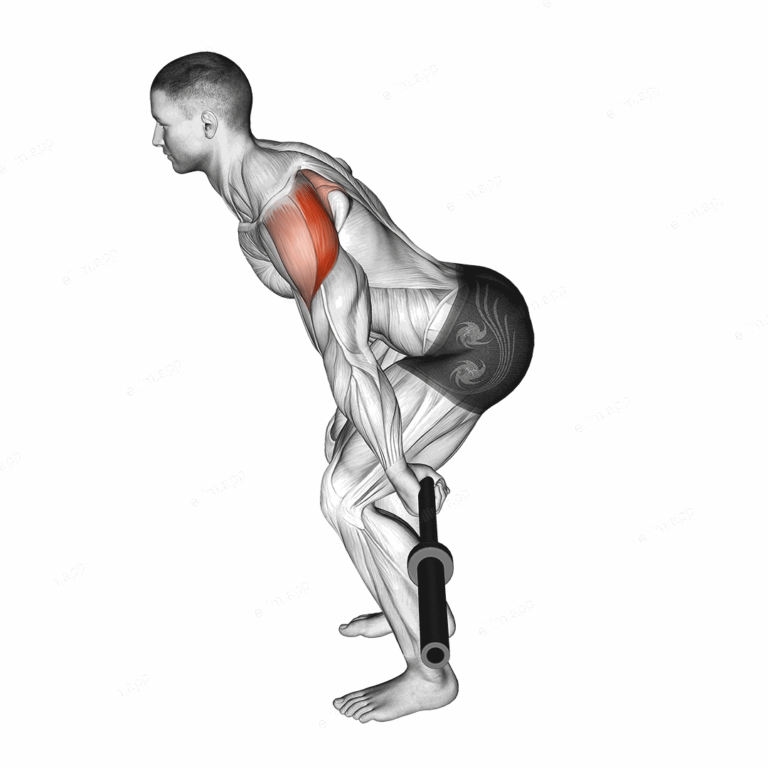 Barbell Skier exercise targeting Shoulders and Deltoid Posterior