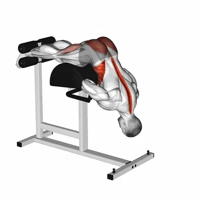 Glute Ham Hyperextension Twist exercise targeting Hips