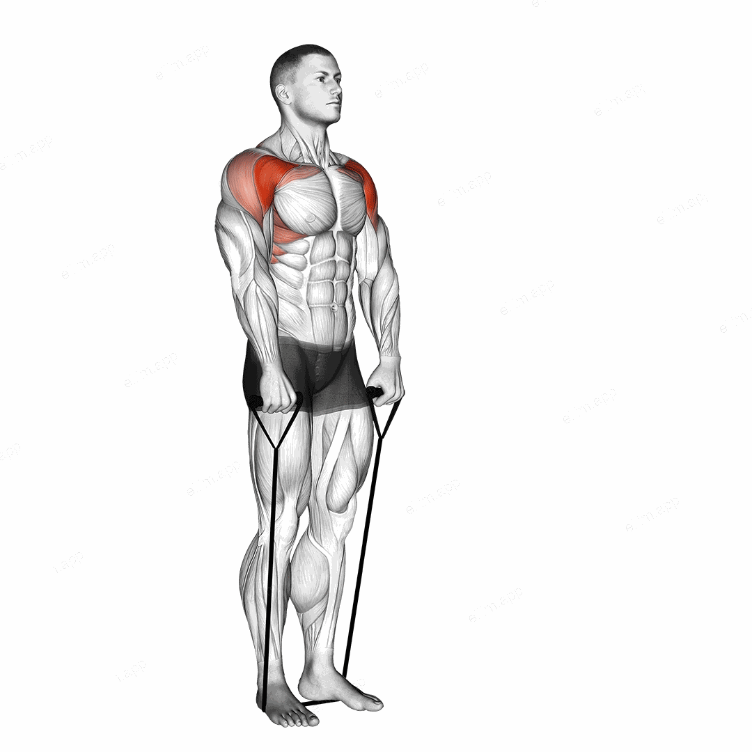 Band front raise exercise targeting Shoulders and Deltoid Anterior