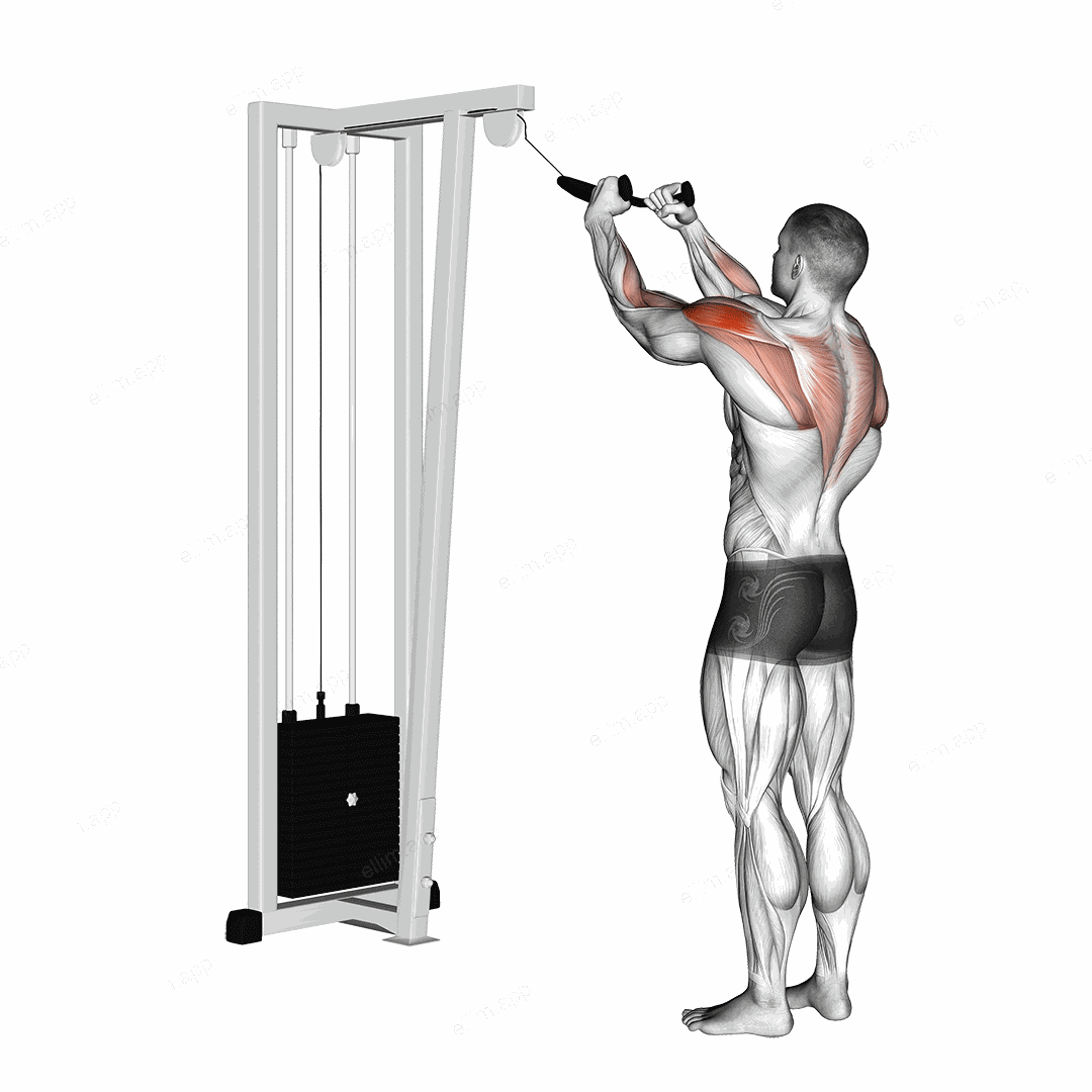 Cable Rear Delt Row (with rope) exercise targeting Shoulders and Deltoid Posterior