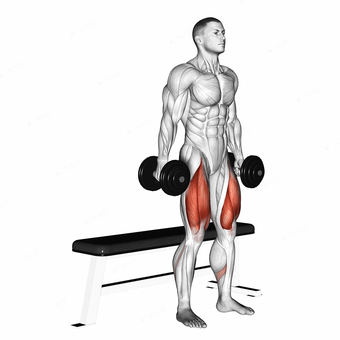 Dumbbell Bench Squat exercise targeting Thighs and Gluteus Maximus