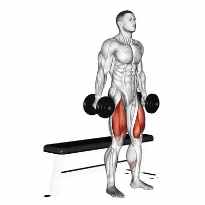 Dumbbell Bench Squat exercise targeting Thighs and Gluteus Maximus