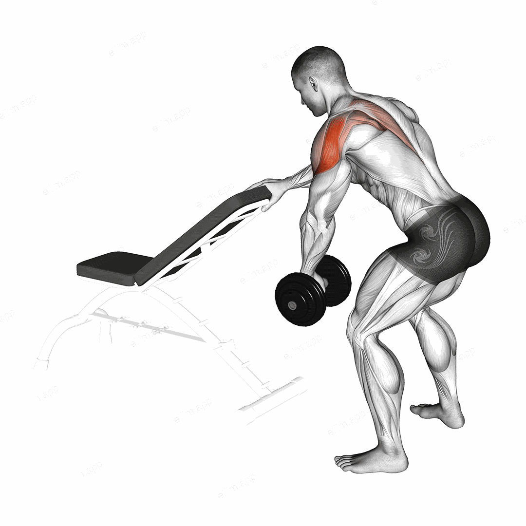 Dumbbell One Arm Reverse Fly (with support) exercise targeting Shoulders and Deltoid Posterior