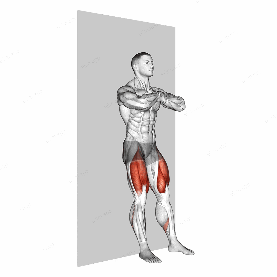 Bodyweight Wall Squat exercise targeting Thighs and Gluteus Maximus