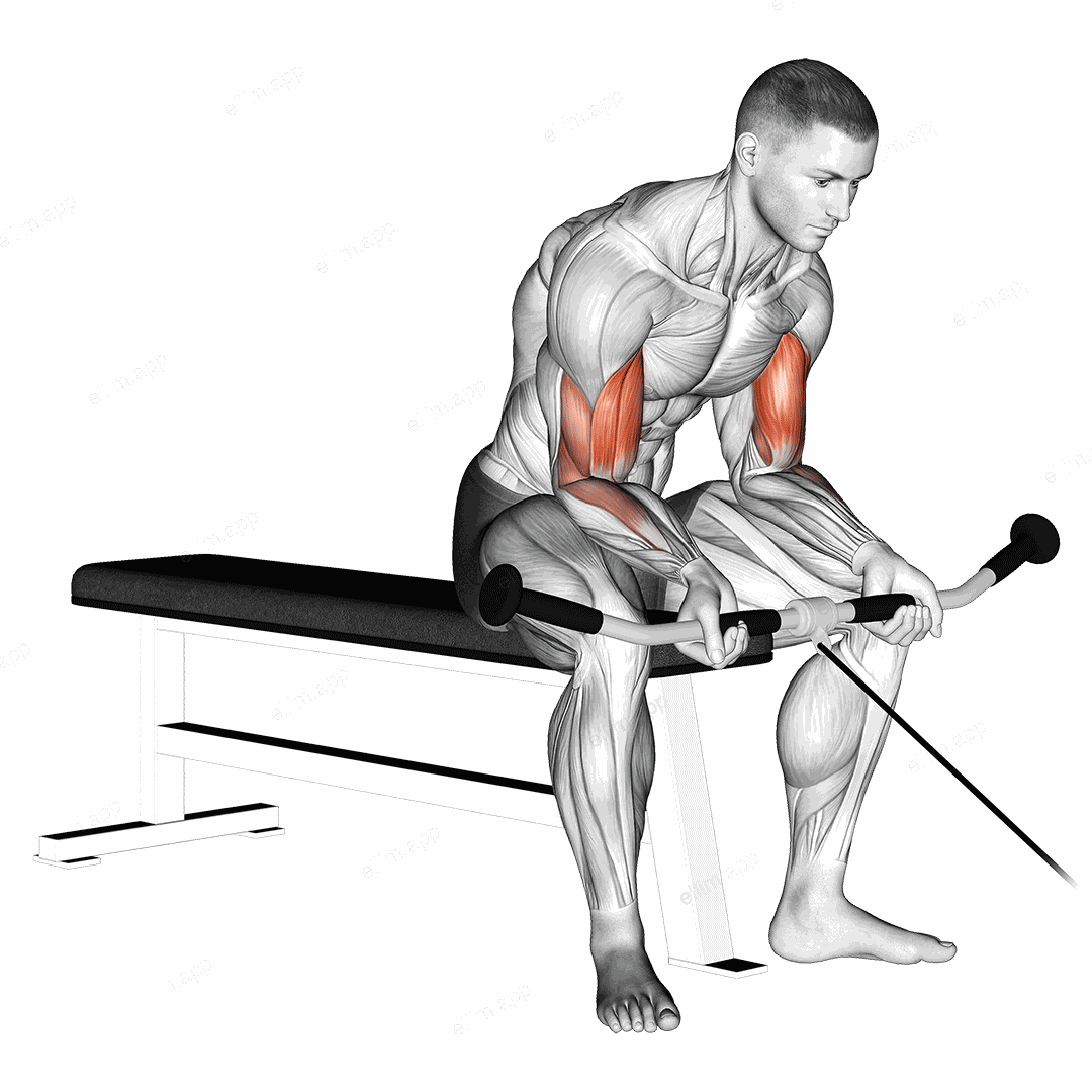 Cable Seated Curl exercise targeting Upper Arms