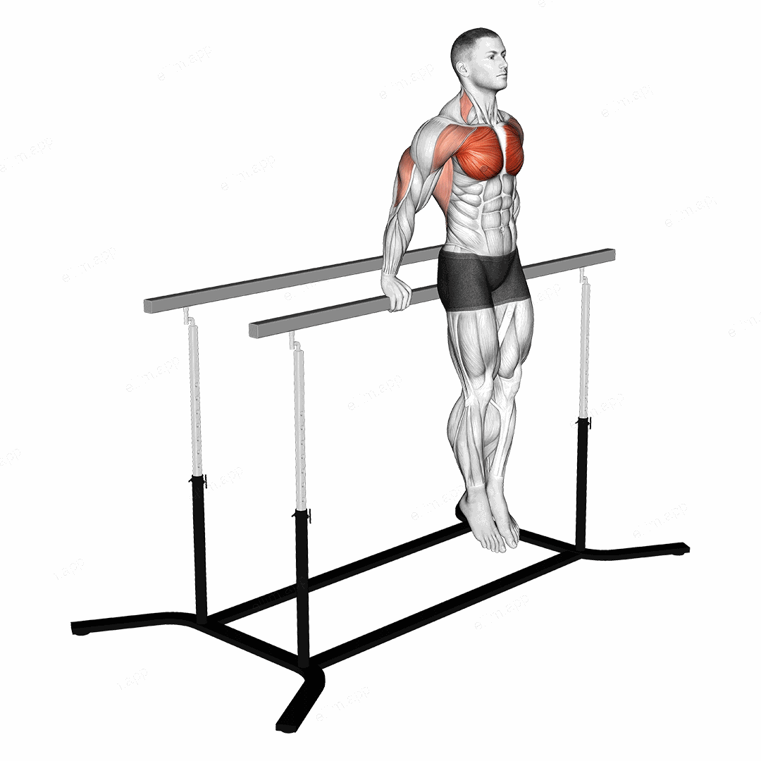 Korean dips exercise targeting Chest and Pectoralis Major Clavicular Head