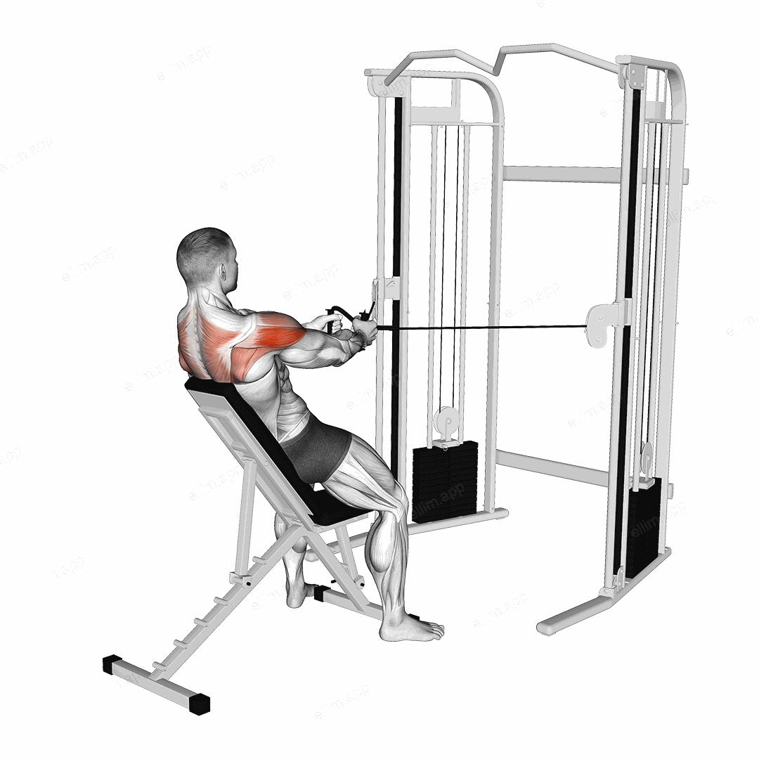Cable Incline Rear Delt Fly with Back Support exercise targeting Shoulders