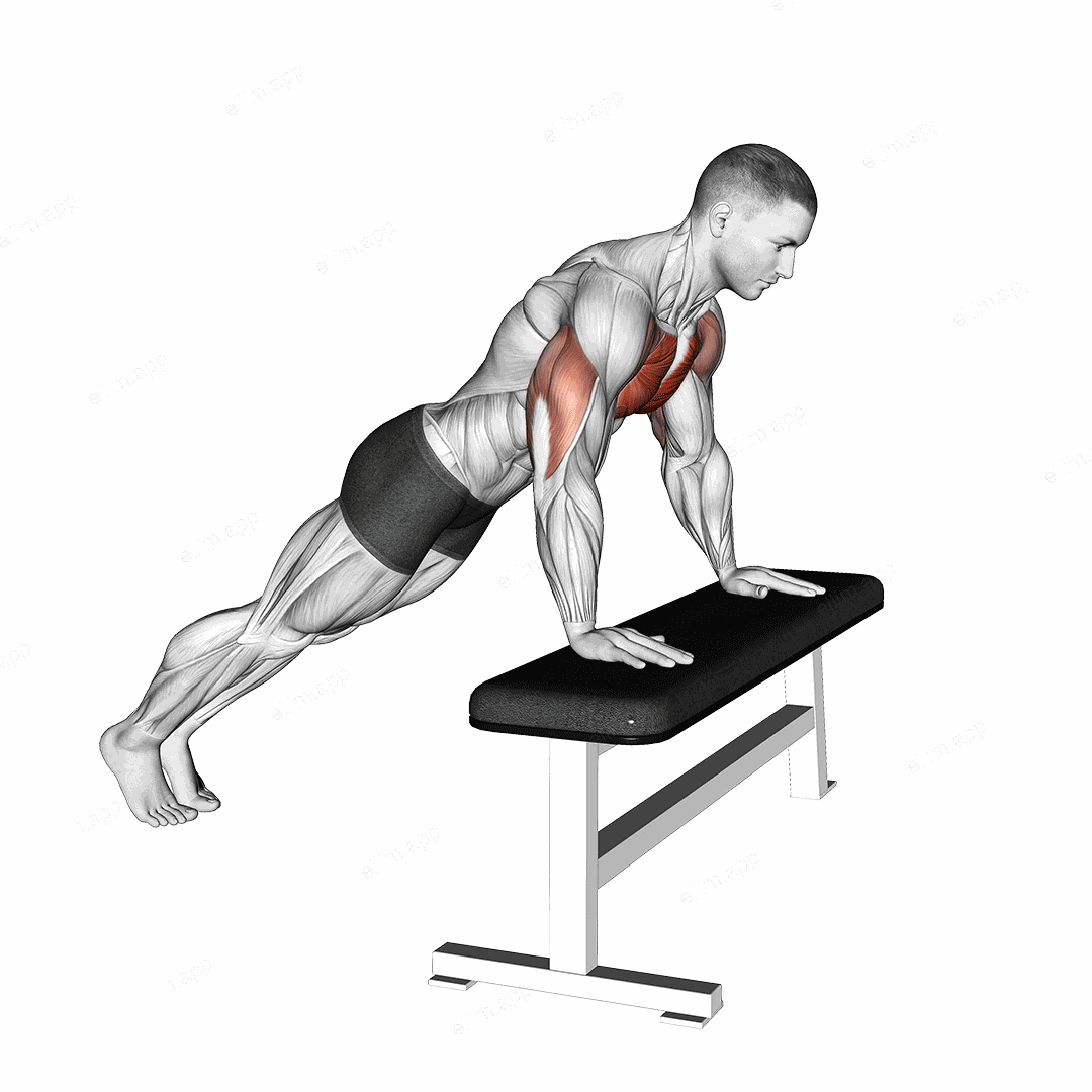 Incline Push-up (on bench) exercise targeting Chest