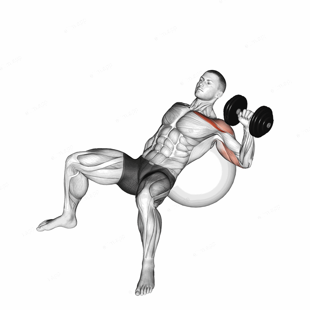 Dumbbell Incline One Arm Press on Exercise Ball exercise targeting Chest and Pectoralis Major Clavicular Head