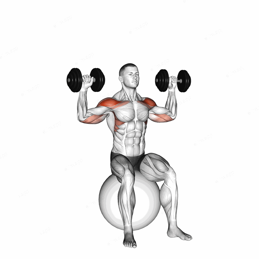 Dumbbell Seated on Exercise Ball Shoulder Press exercise targeting Shoulders and Deltoid Anterior