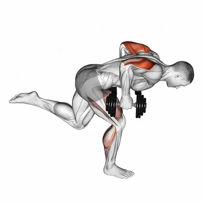 Dumbbell Tricep Kickback With Stork Stance exercise targeting Upper Arms