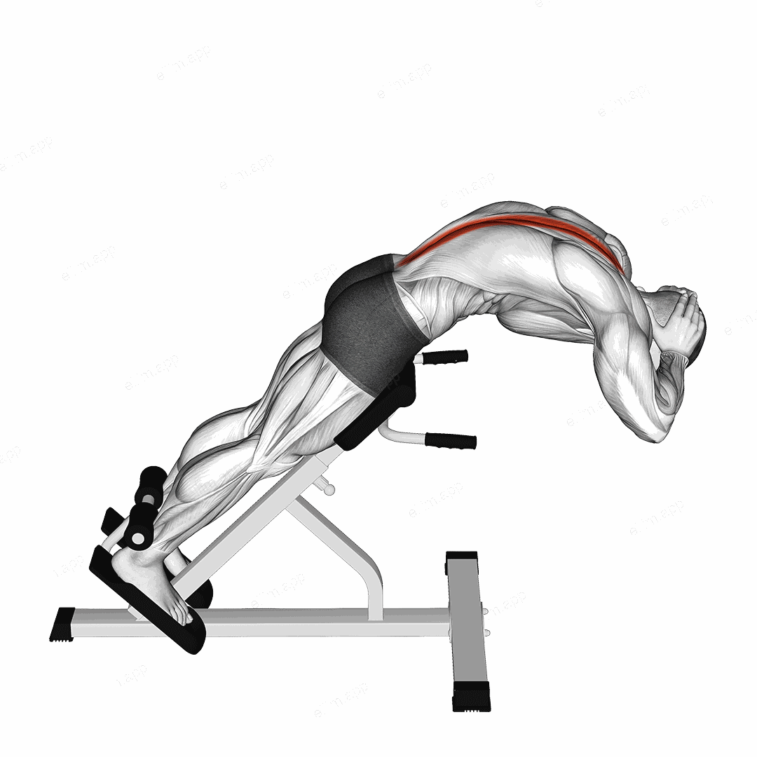 45 degrees Back Extension exercise targeting Hips and Erector Spinae