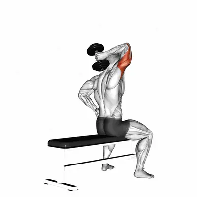 Dumbbell One Arm Triceps Extension (on bench) exercise targeting Upper Arms and Triceps Brachii